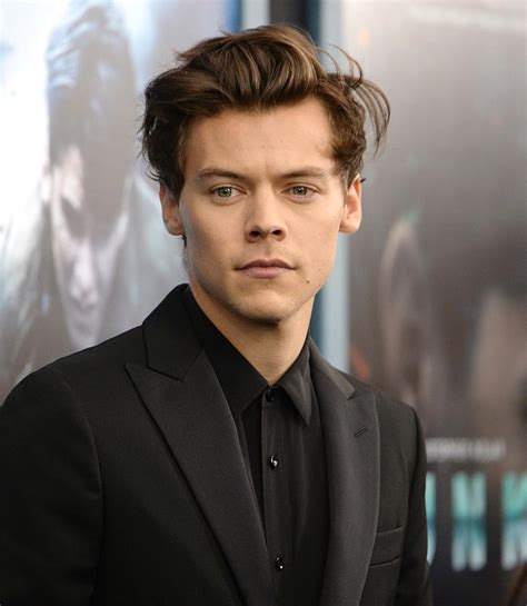 harry styles imdb